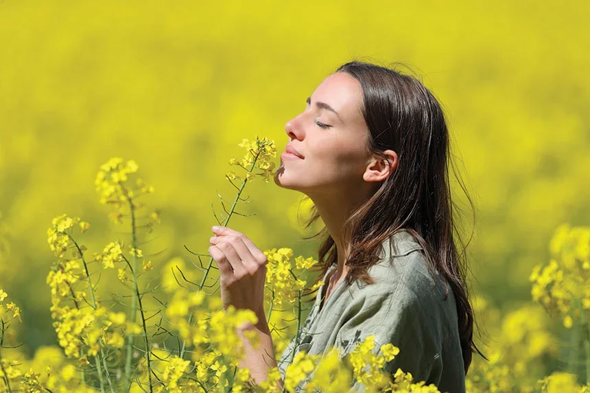 Losing Our Sense of Smell