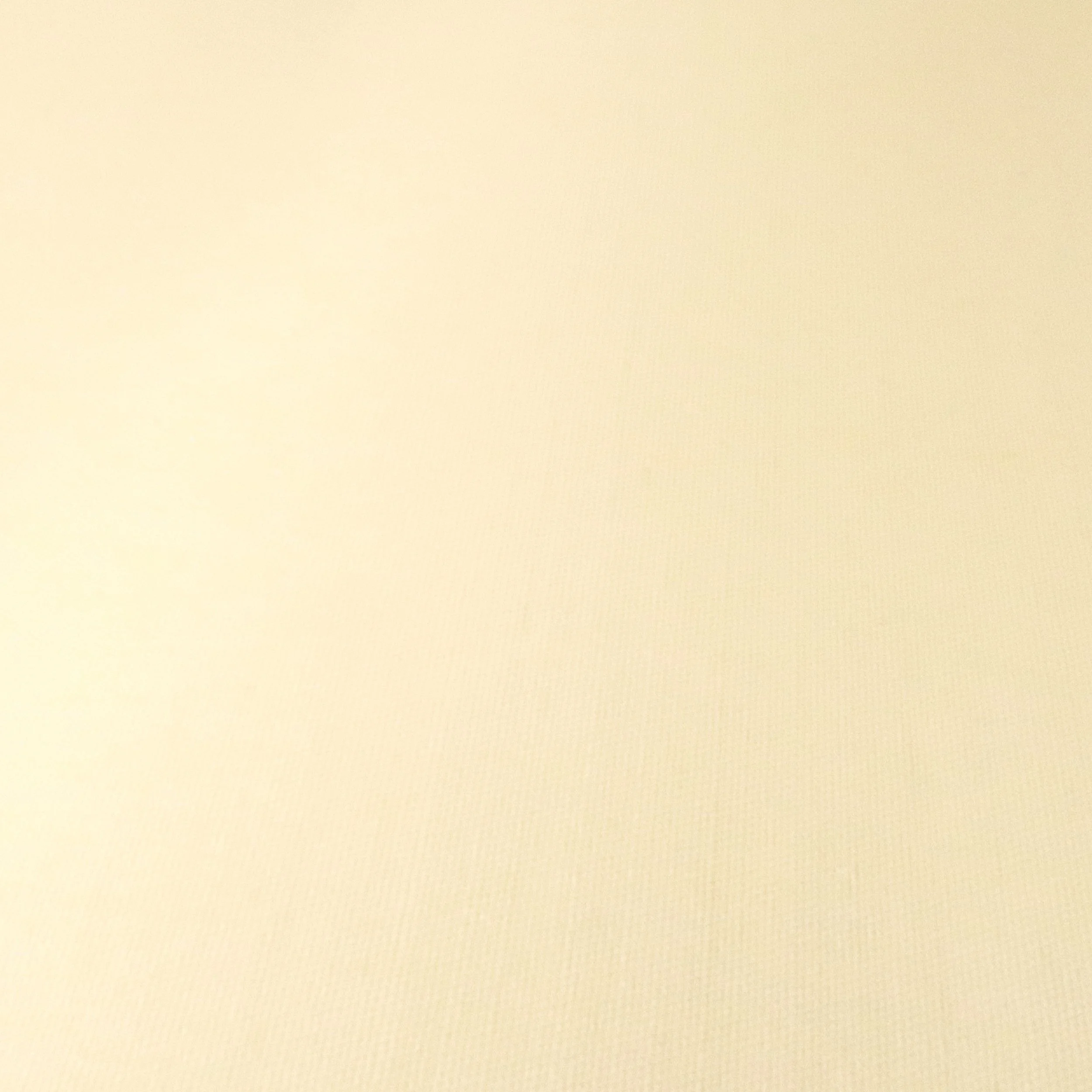 Soft cream silk wool blend suiting fabric