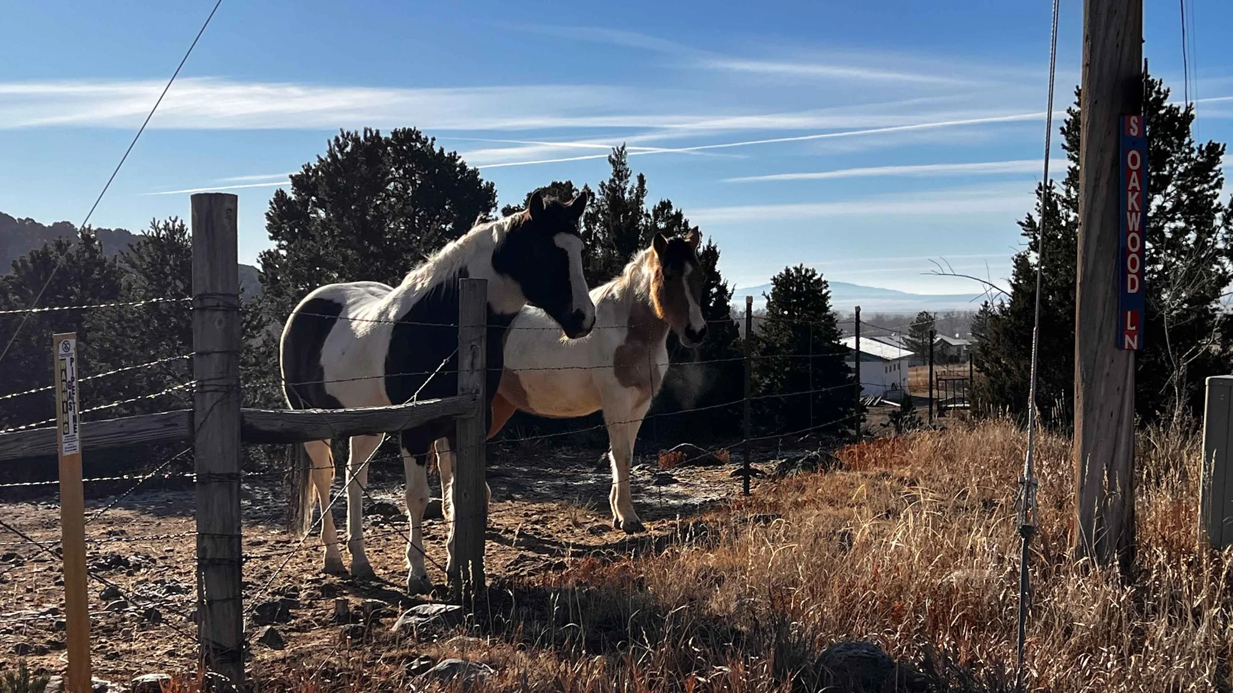 Small Horse Ranch