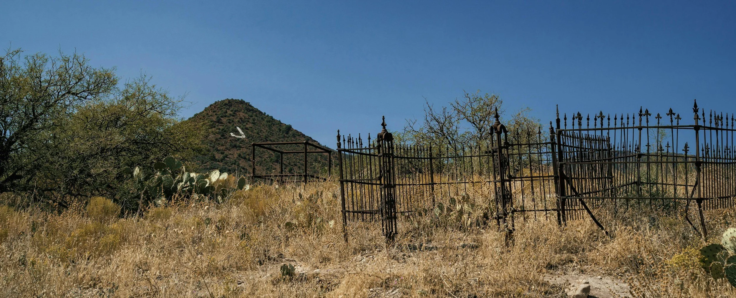 Beyond the Horizon: Why Deserts Are the Ultimate Horror Locations