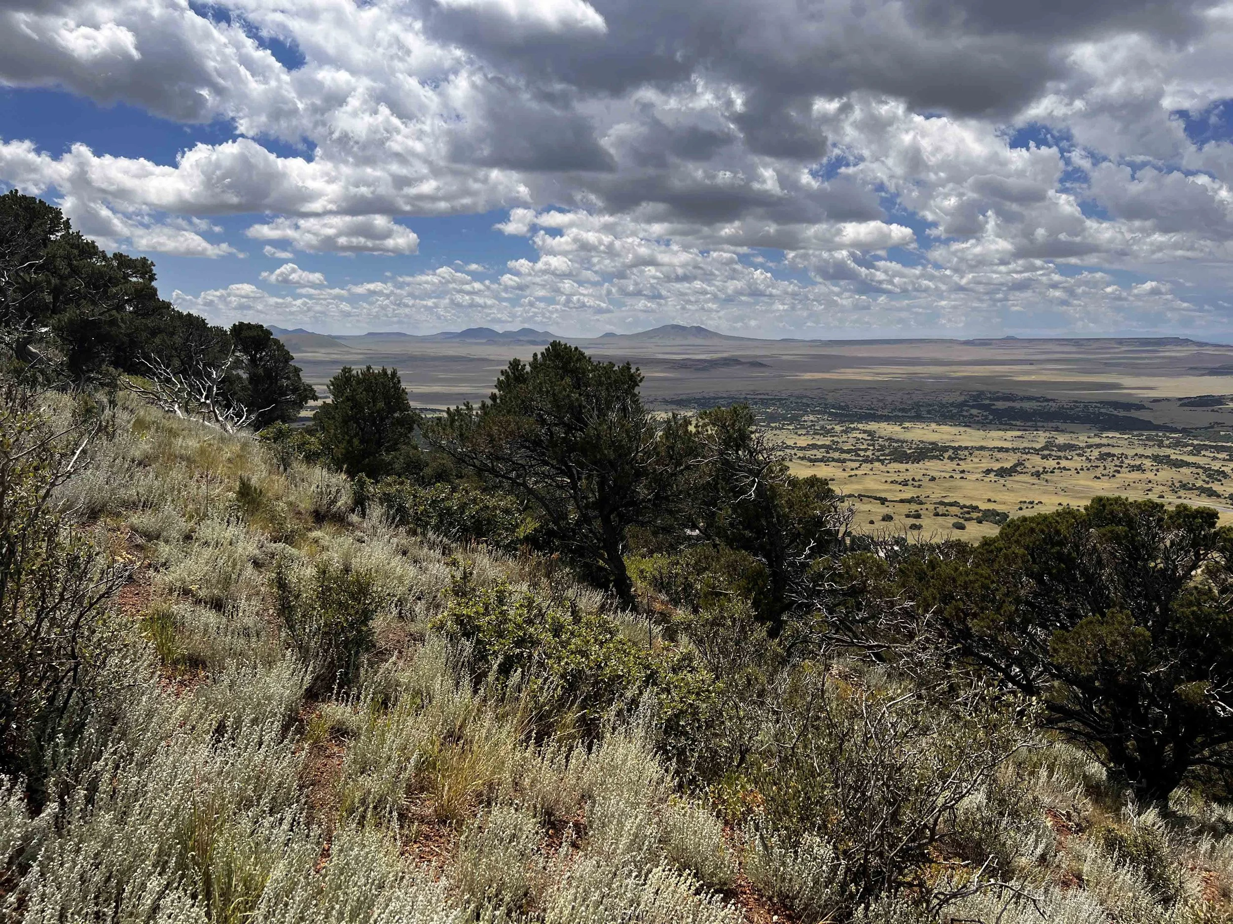 Capulin 2026 reupload 1.jpg
