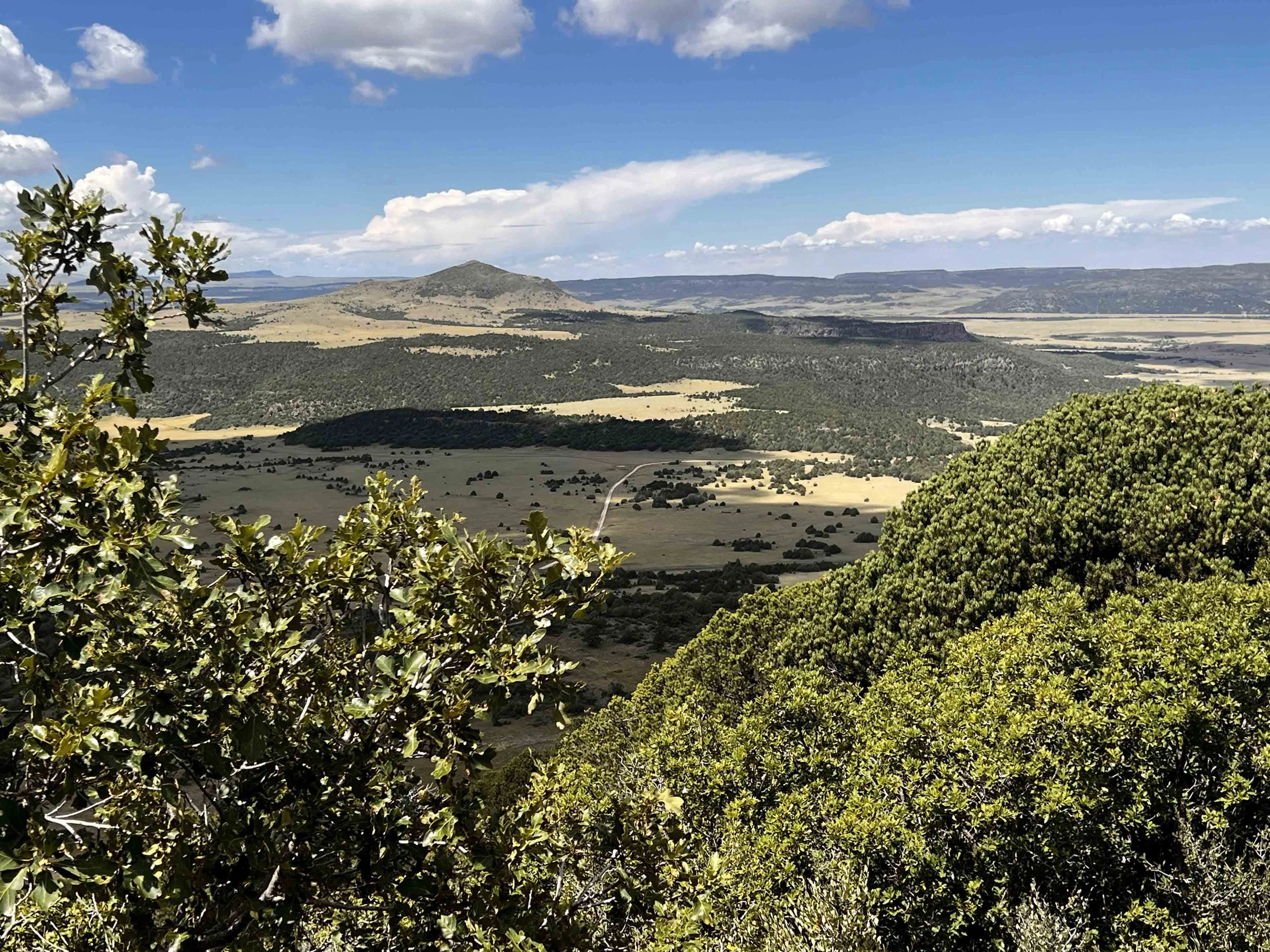 Capulin 2026 reupload 4.jpg