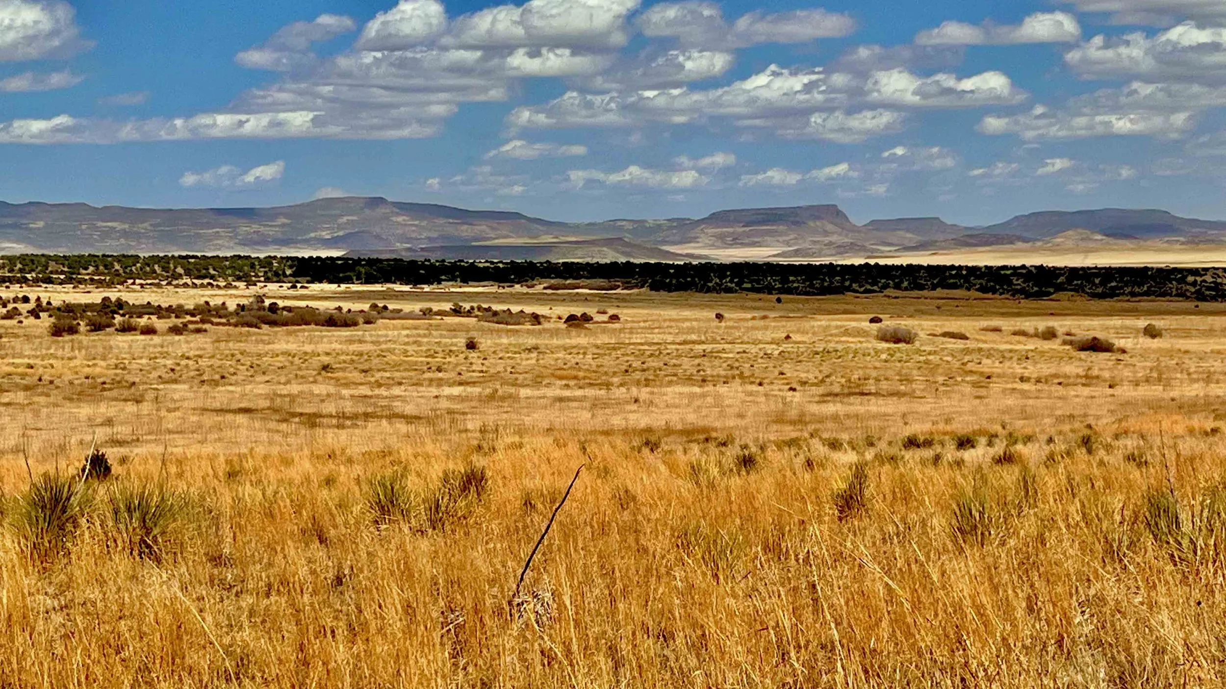 NRA Whittington-Van Houton Mining Camp - 43 of 104.jpg