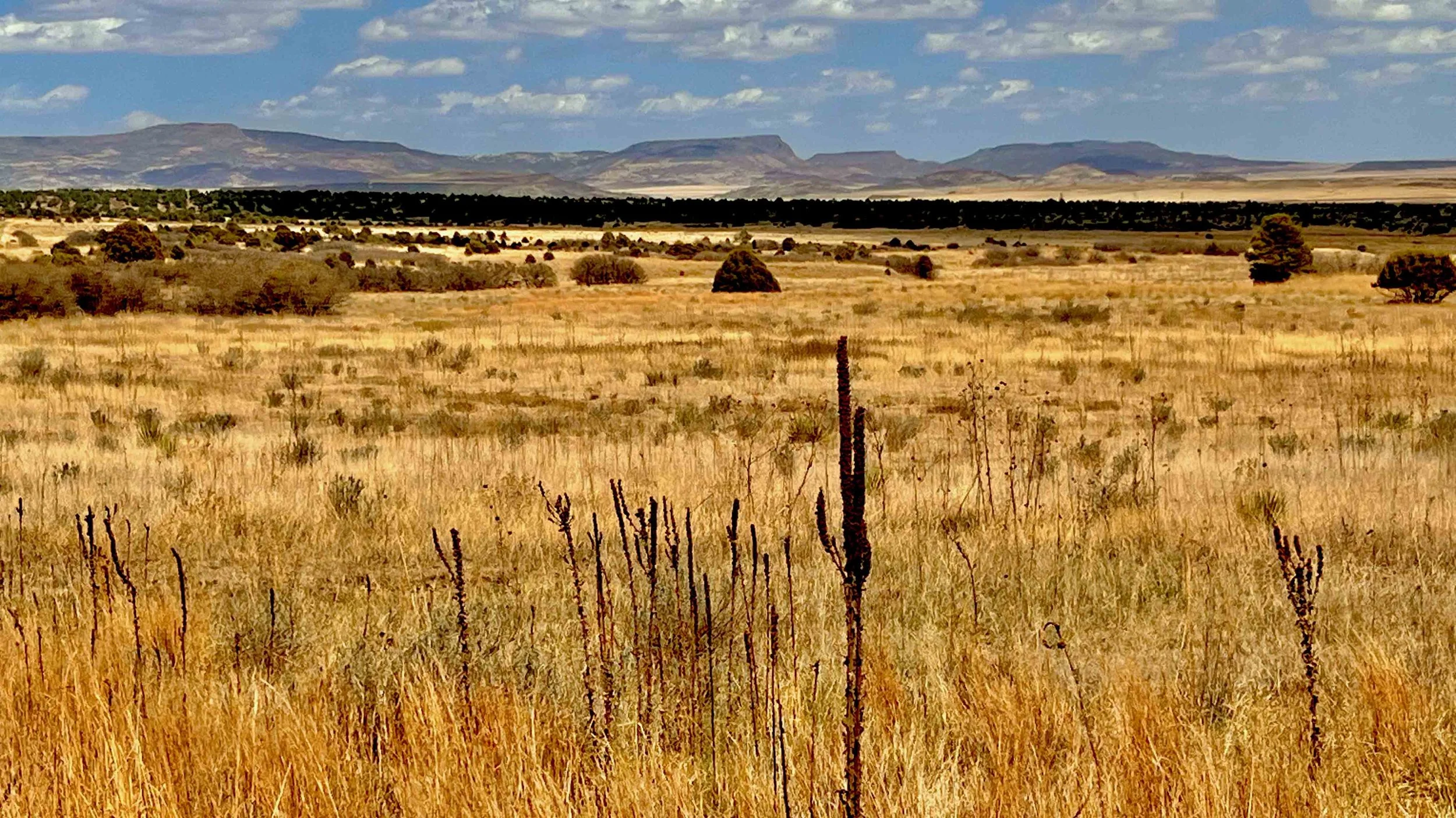 NRA Whittington-Van Houton Mining Camp - 42 of 104.jpg