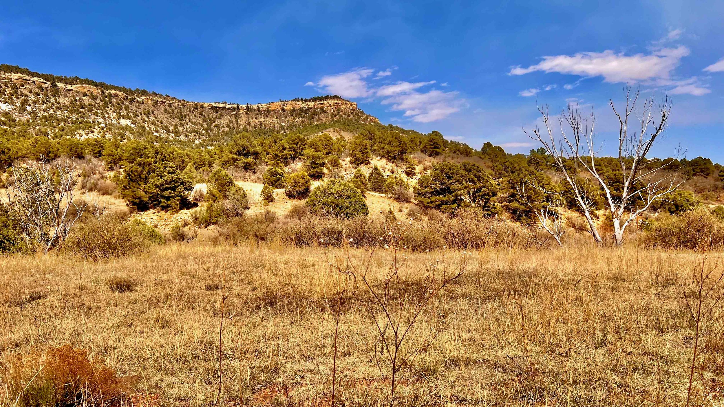 NRA Whittington-Van Houton Mining Camp - 104 of 104.jpg