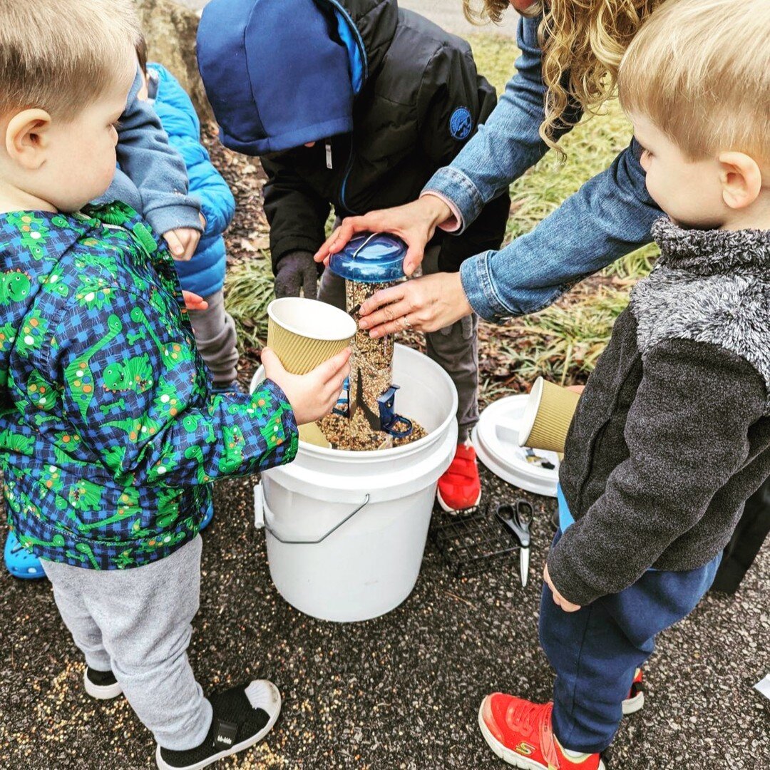 In this late winter season, I love the new weekly ritual we've developed at our #CareFreeFridays Weekly Playgroup. We're feeding the birds! Late winter is a time of scarcity, a time when food reserves are running low, spring is on the horizon but not