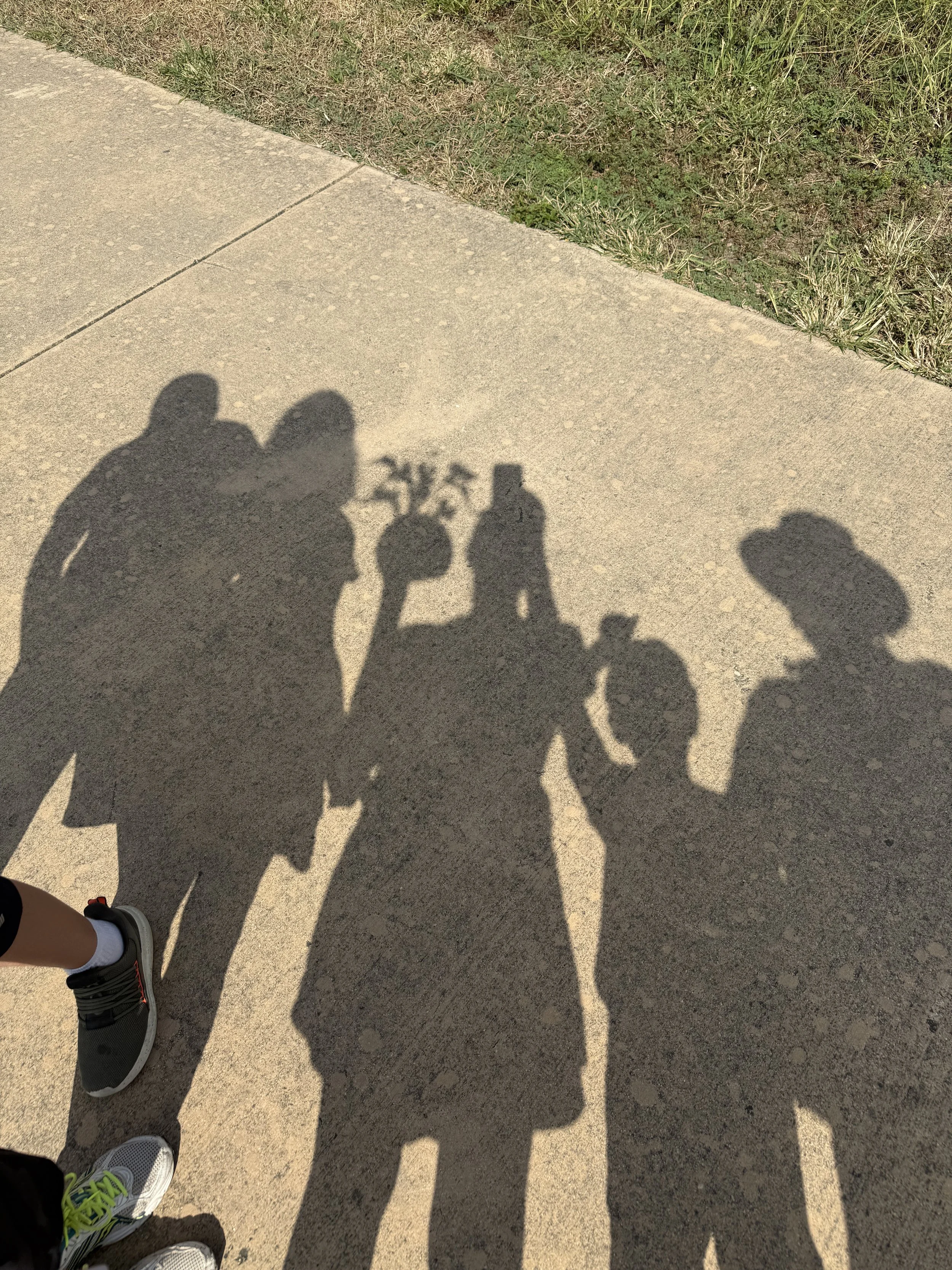 IMG_0158.jpeg