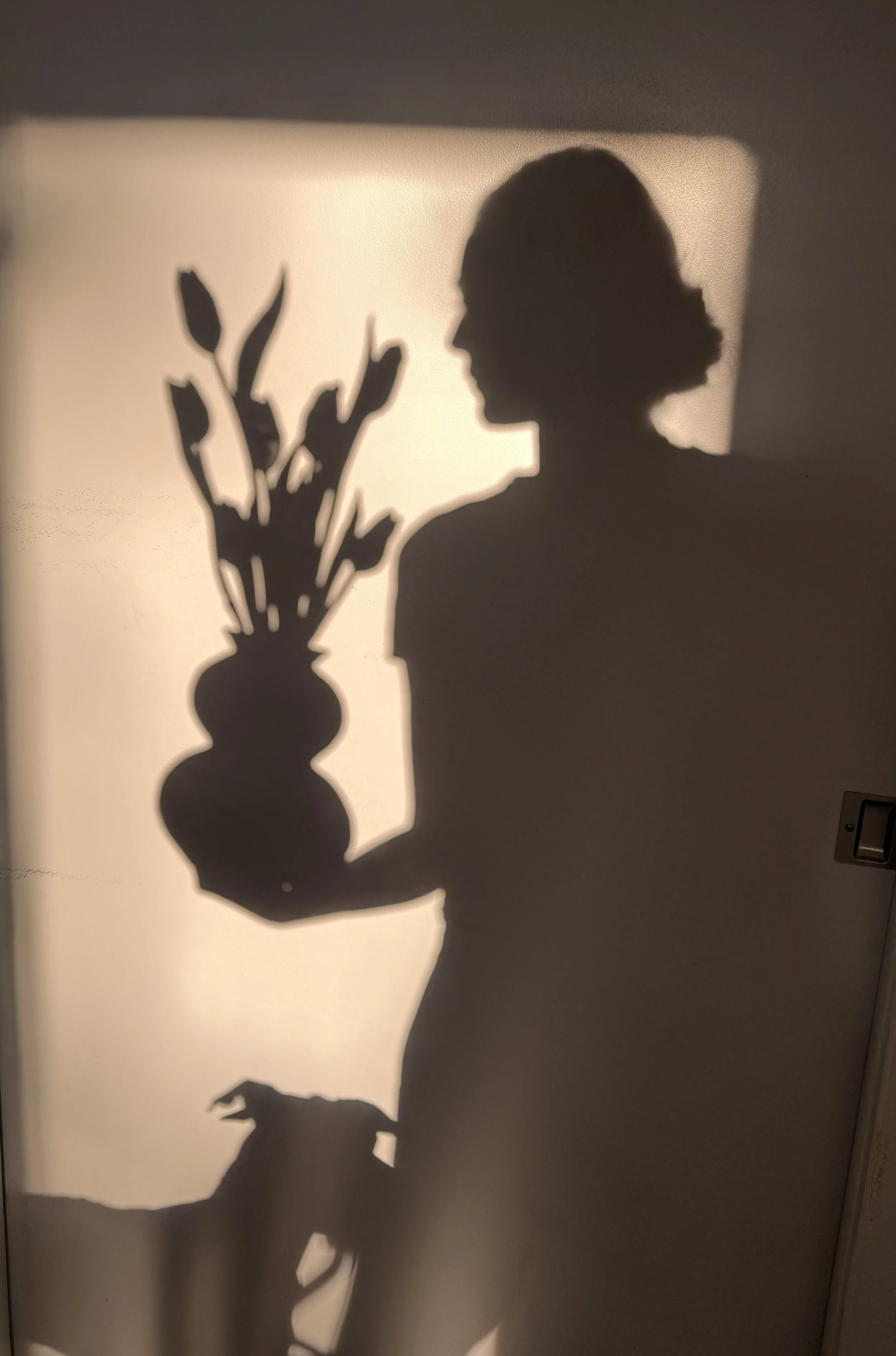 IMG_0010.jpeg
