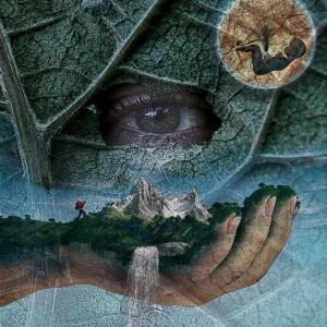 The Animas Quest - February 10 to February 21, 2026