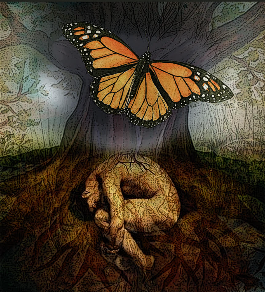Soul Journey Intensive - Crossing into the Mysteries of Nature and Psyche - Feb 16-20, 2027