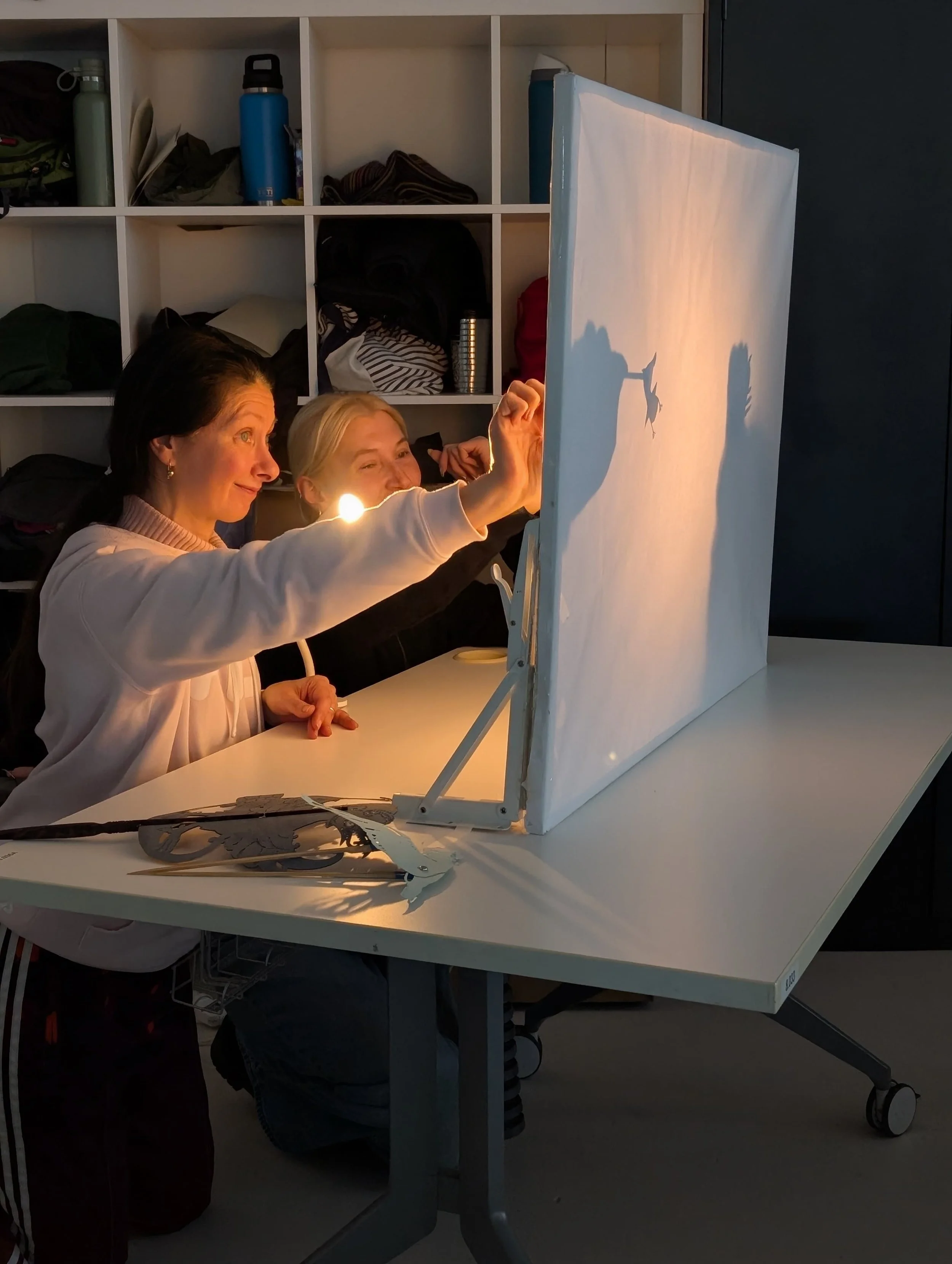 Two women are sitting at a table inside, working on a shadow puppet project. They are holding a white sheet with cutouts, creating shadows of a bird, a musical instrument, and a tree on the sheet; the sunlight is casting the shadows. There is a small dragon sculpture on the table, and a storage unit with various items behind them.