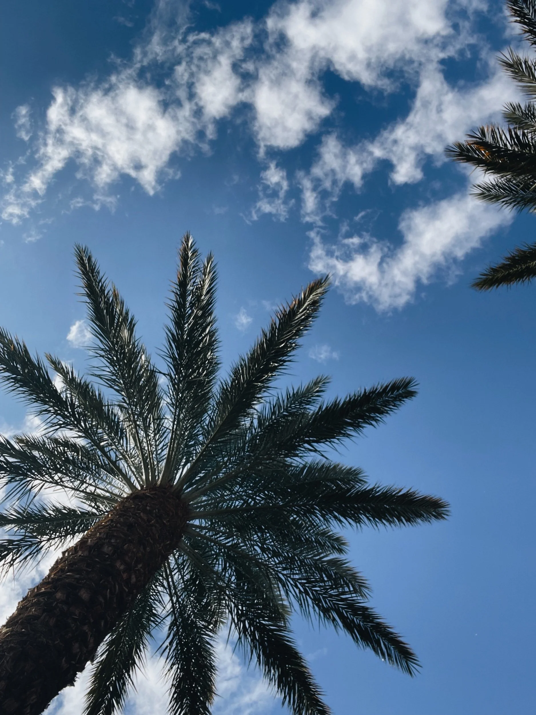 Prayer of the Day—No. 16