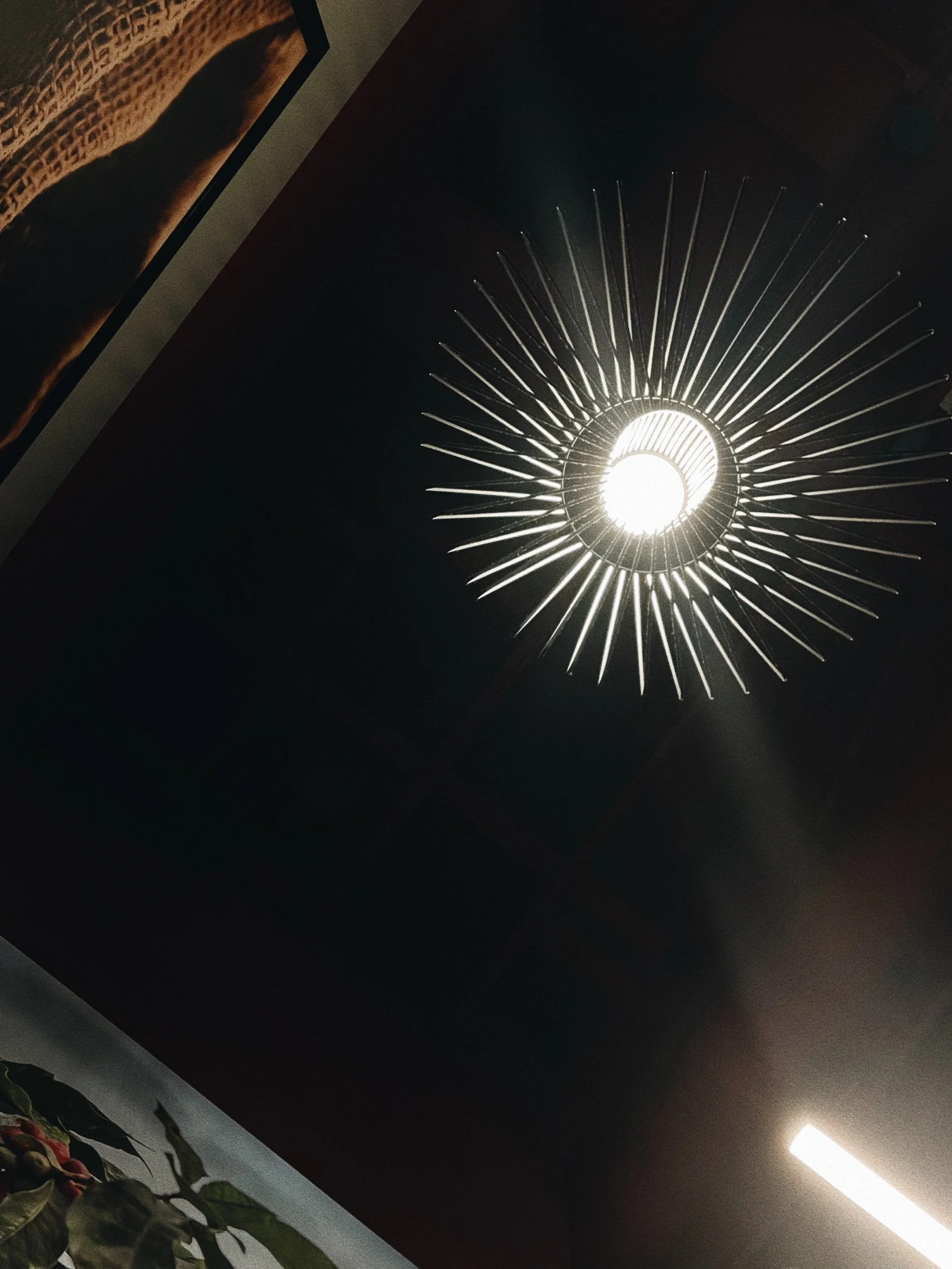 Prayer of the Day—No. 19