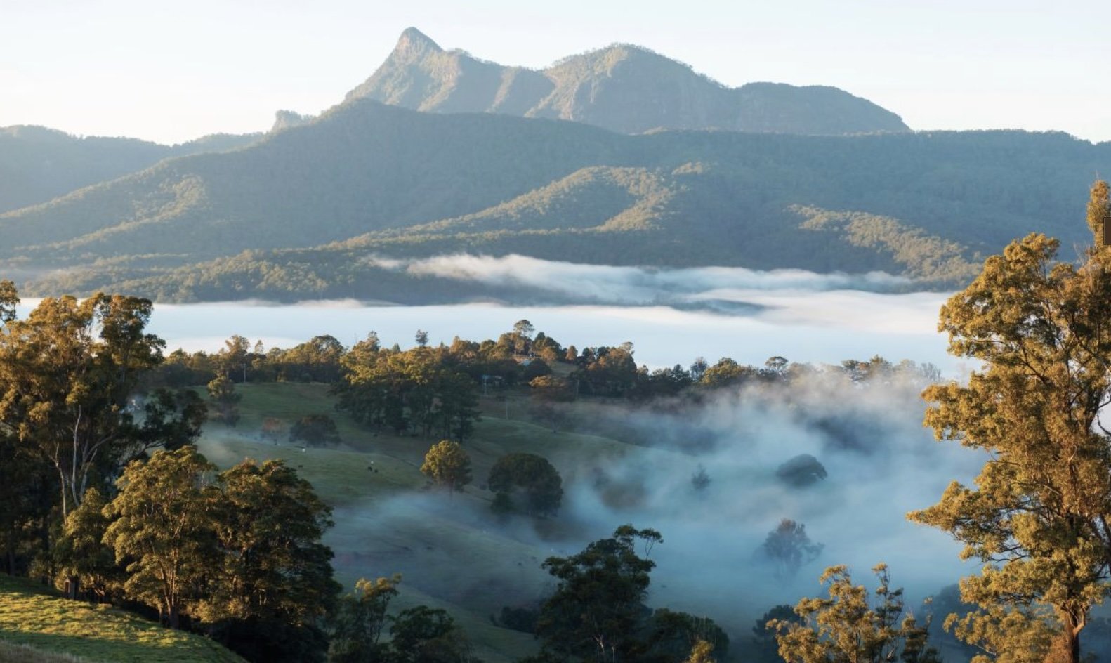 mountain view across a lusg green valley with mist
