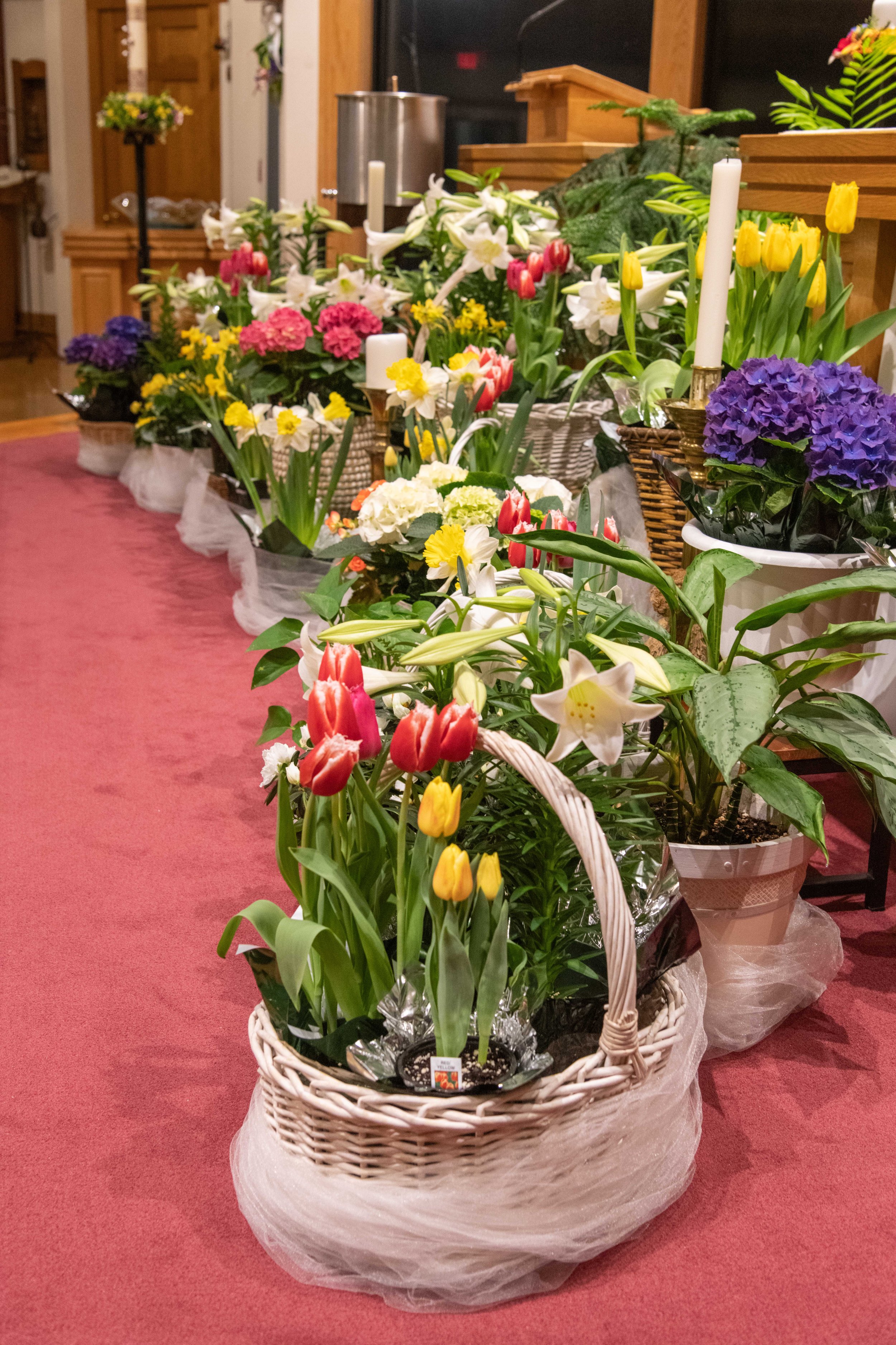 SJB_2026_Easter_004.jpg