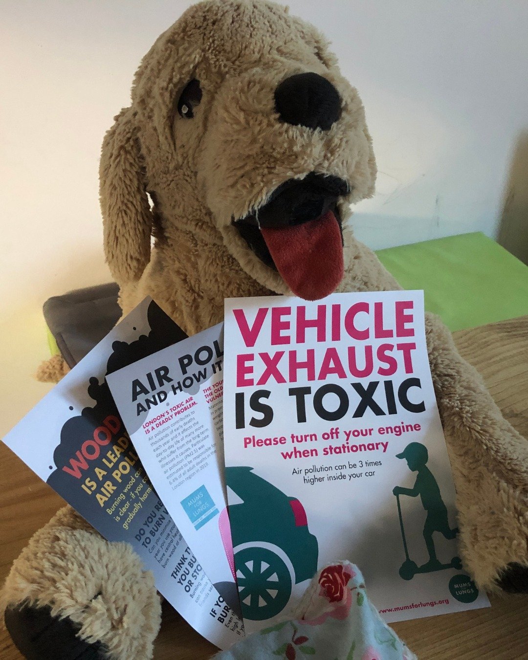 Would you like some free flyers for your Summer Fairs? Rosie is ready to send them out 😍.

We have idling, wood burning, School Streets, London, Manchester and UK air pollution flyers ready for action - just head to the link in our bio and click on 