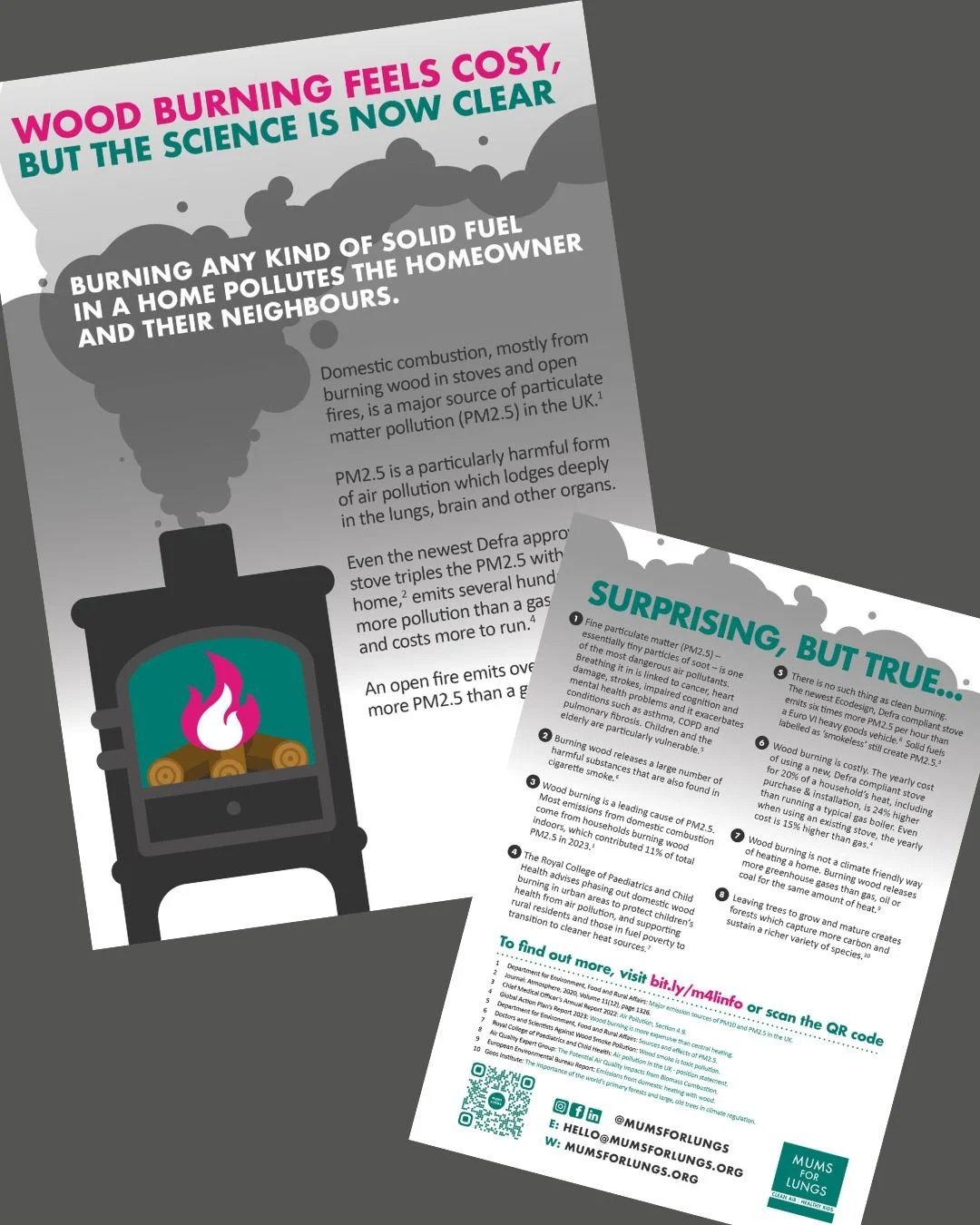 Worried about wood burning? 

You can download our digital flyer from the Resources page on our website, or order printed ones for free. 

It's often easier to hand over a flyer than talk about this issue. Many people still aren't aware how much air 