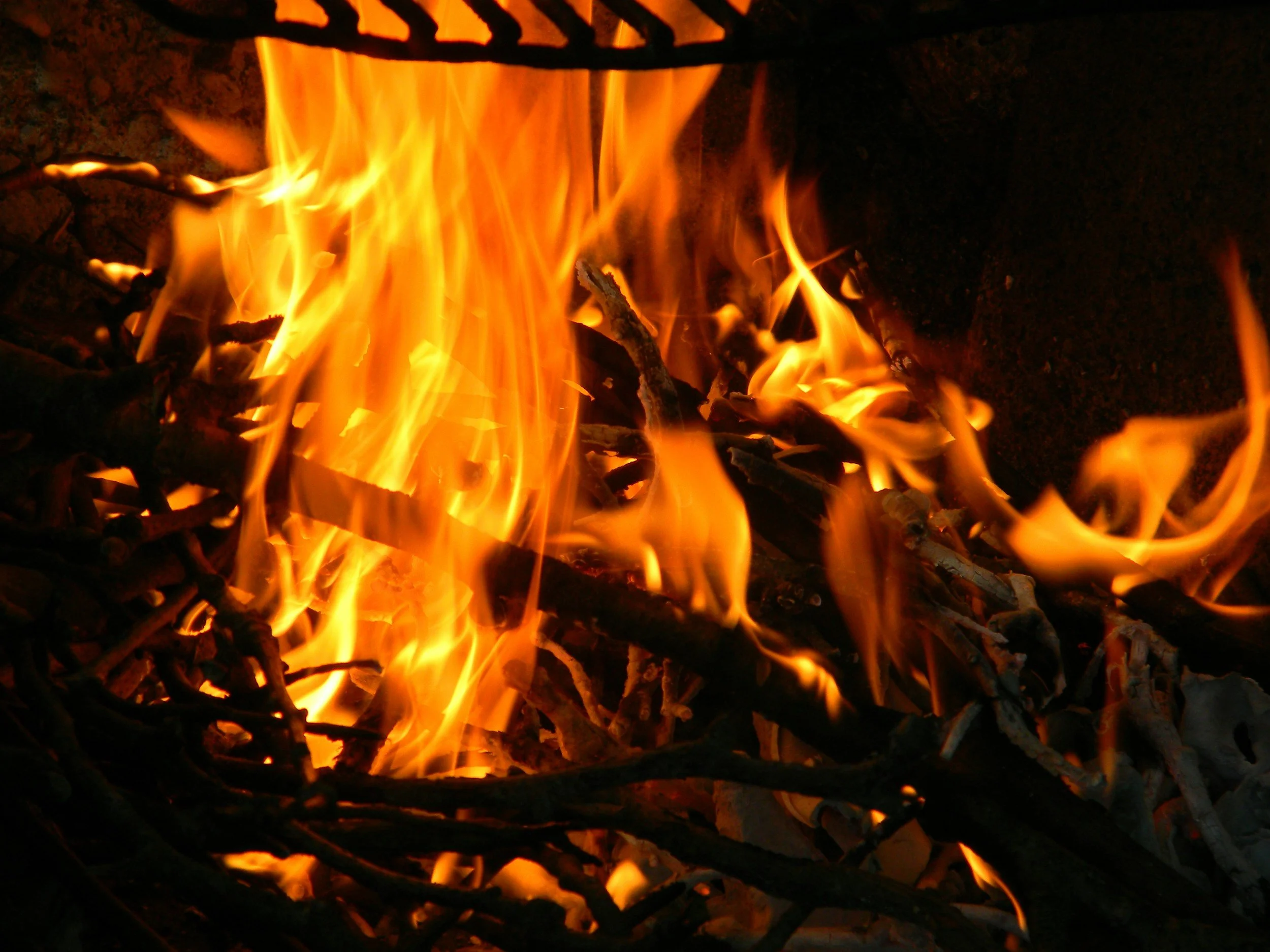 Wood burning: government failings