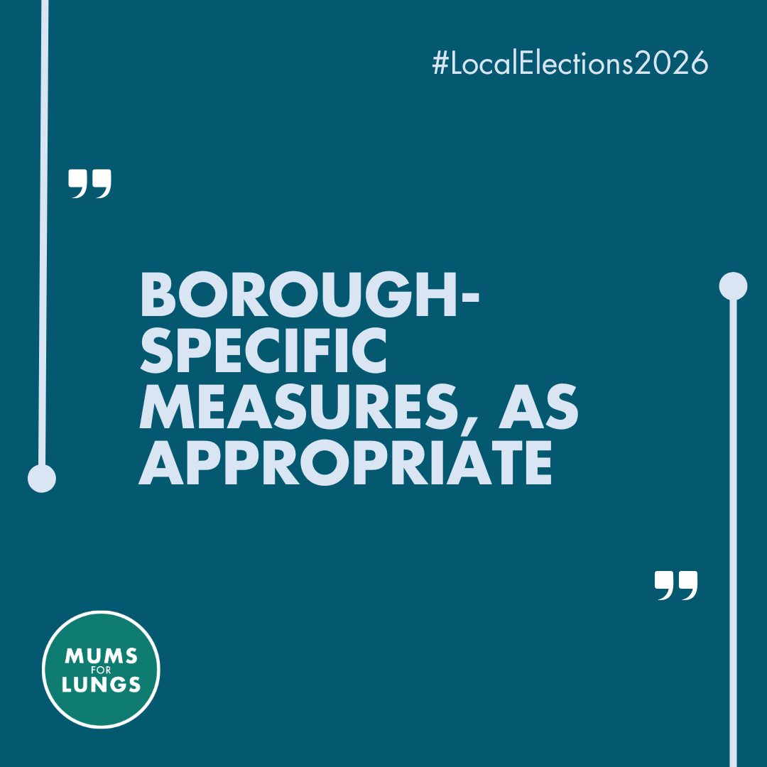 Borough-specific measures.png