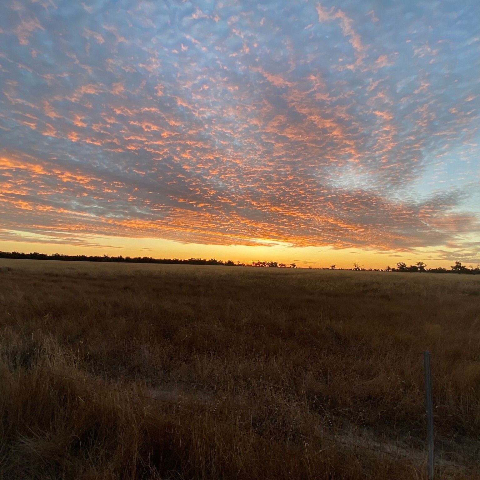 The Man burns in 3 days! | Appreciation post to our hard-working site crew who are making magic happen. We're so excited to join you.
⁠
Please ensure you come prepared for the event, see our link in bio to download the Survival Guide, WWW and Site ma