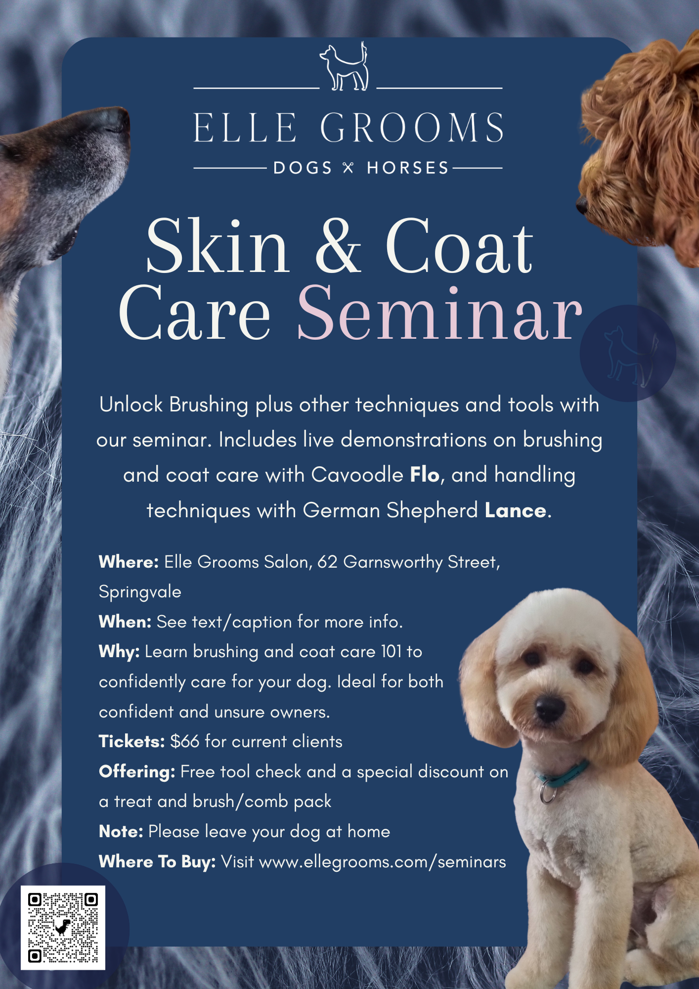 Seminar Two - Skin and Coat Care with Elle