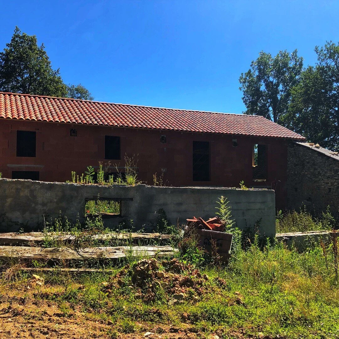 Exterior 1.jpg