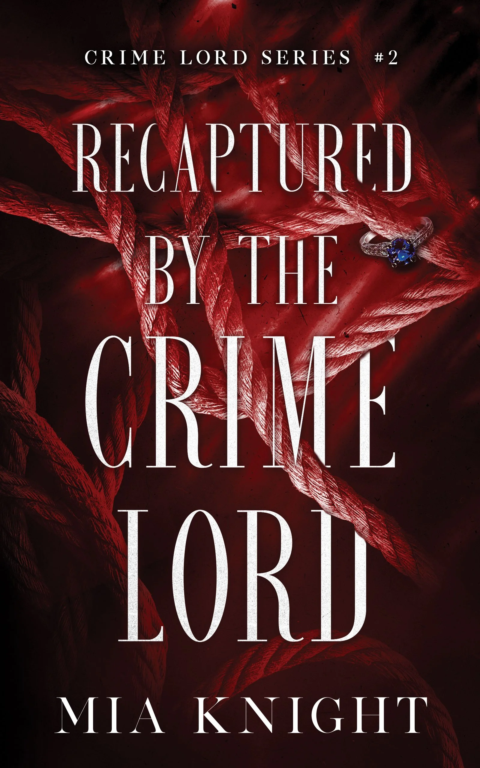 Recaptured by the Crime Lord - ebook(2).jpg