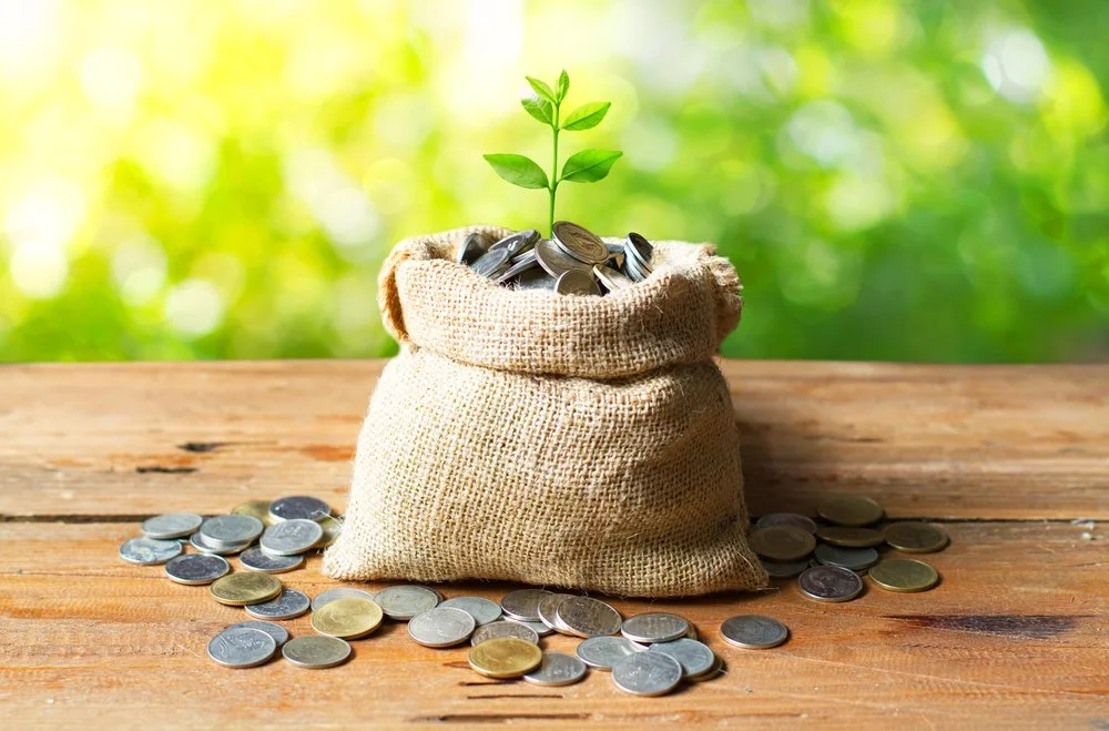 Why does GDP not support the climate agenda?