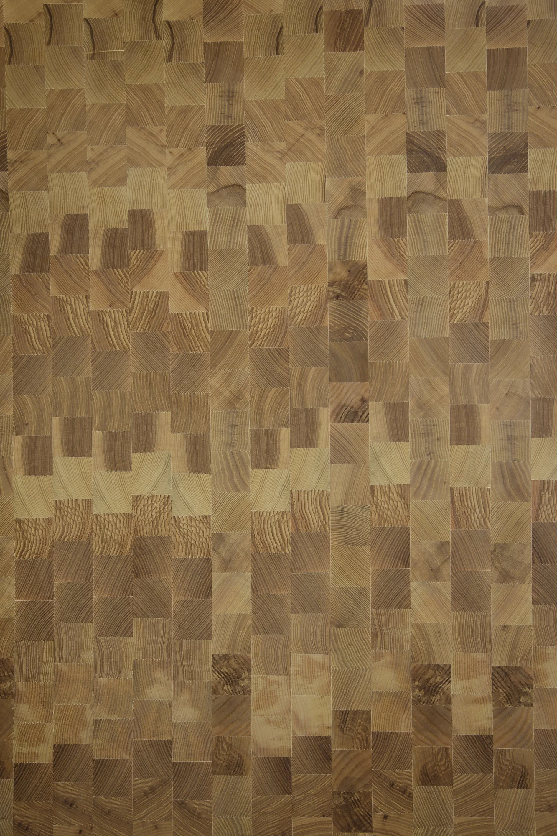 OAK END GRAIN.jpg