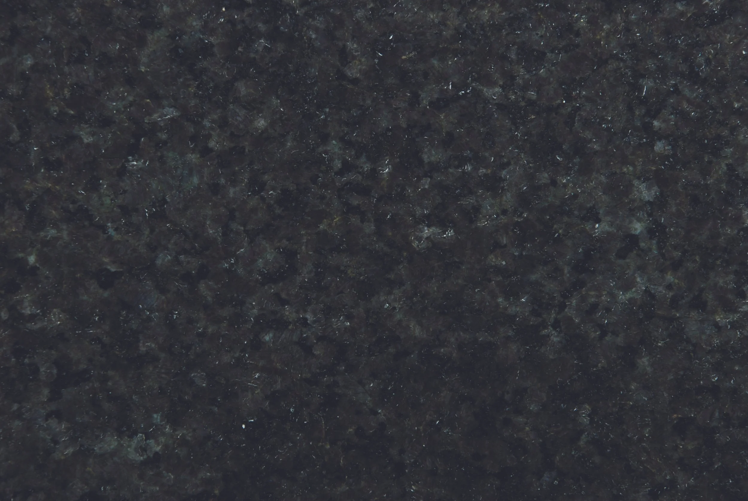 INDIAN BLACK PEARL.jpg