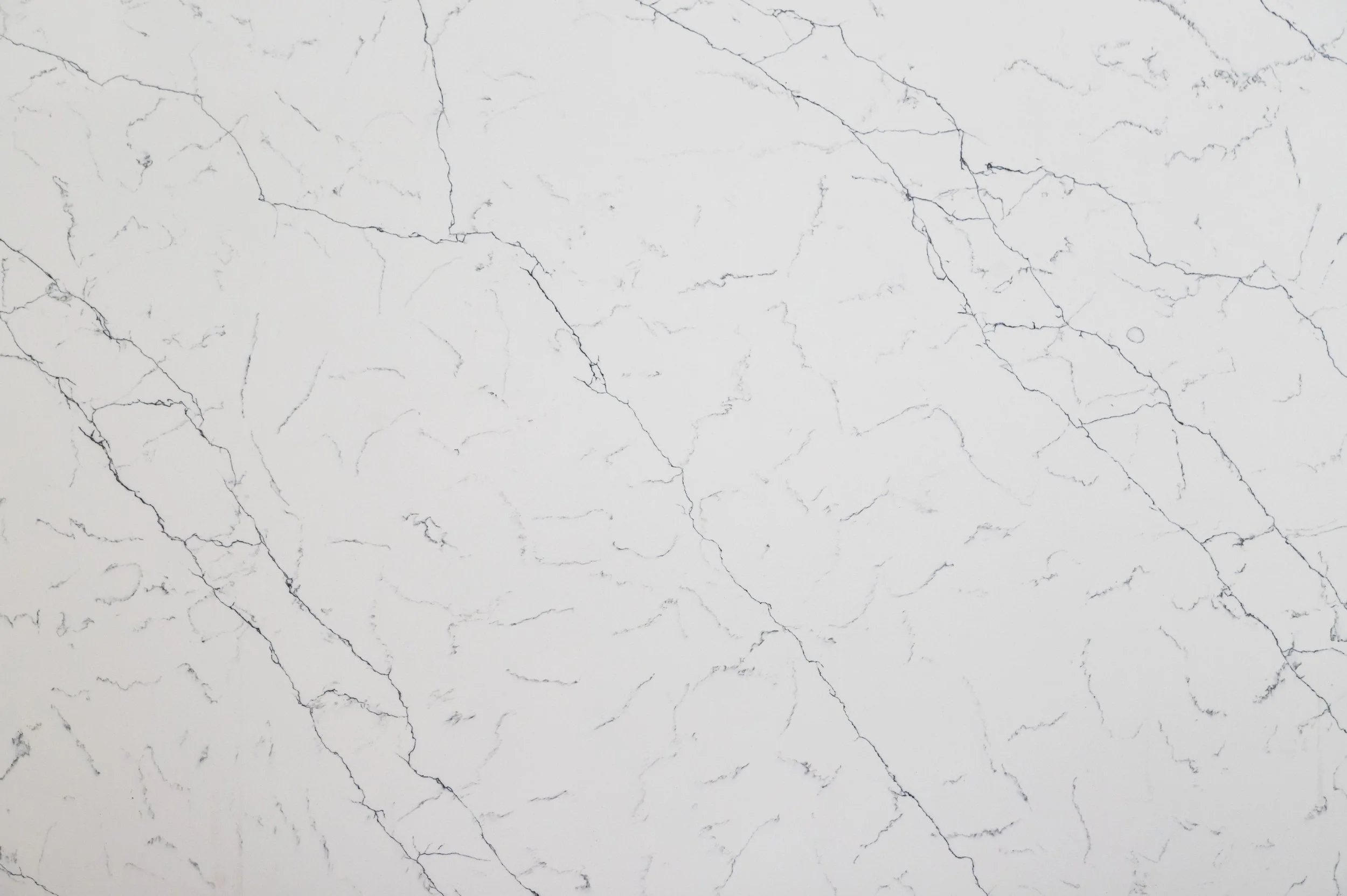 Absolute Marbled White  slab.jpg