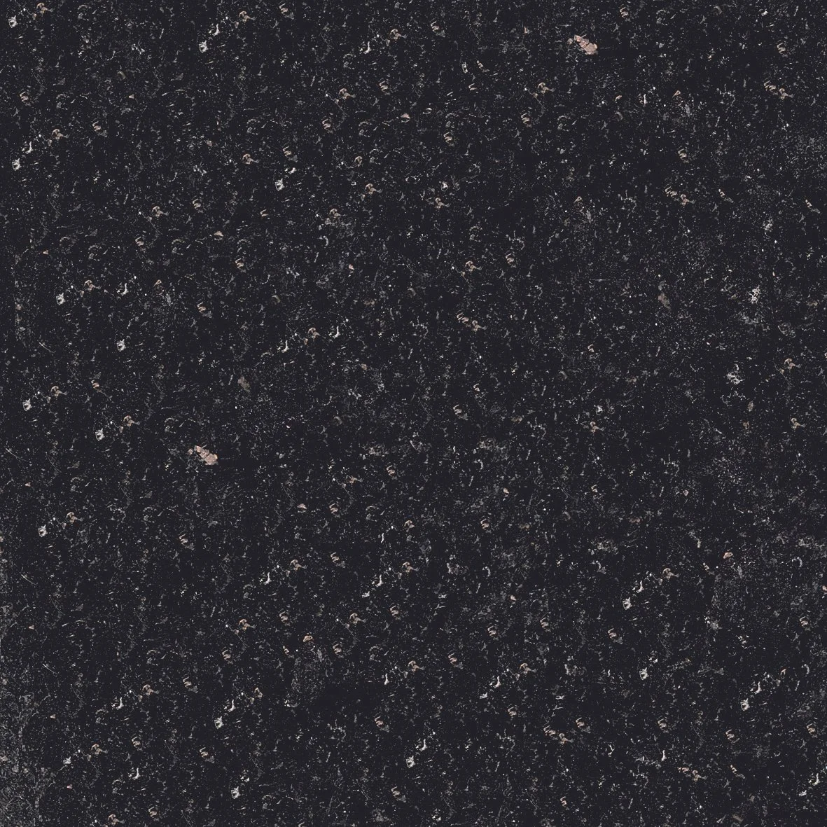 STAR GALAXY BLACK.jpg