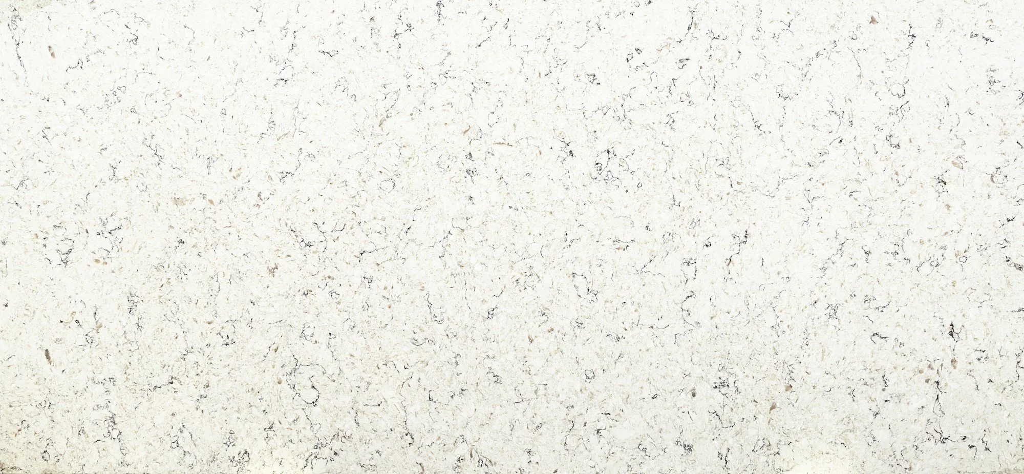 Arctic Storm slab.jpg