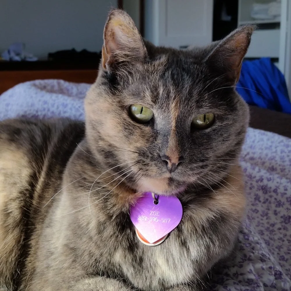 Zoe, photo reference