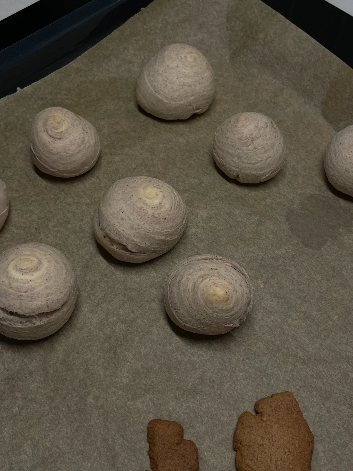 WhatsApp Image 2025-09-04 at 19.02.27.jpeg