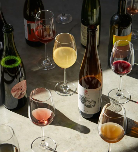 From Palate to Pairing: A Journey through the Basics of Wine Tasting