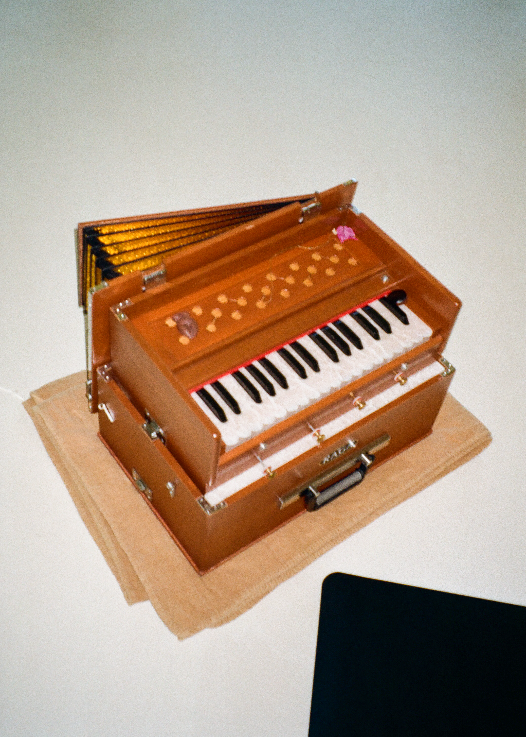 Microdosing, Somatic Movement &amp; Live Music