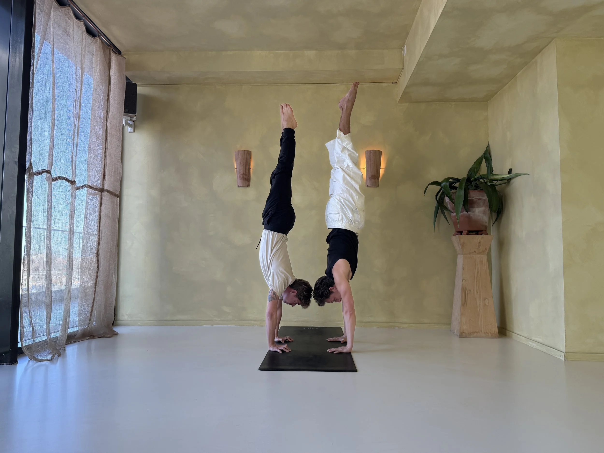 Arm Balance Fun-damentals