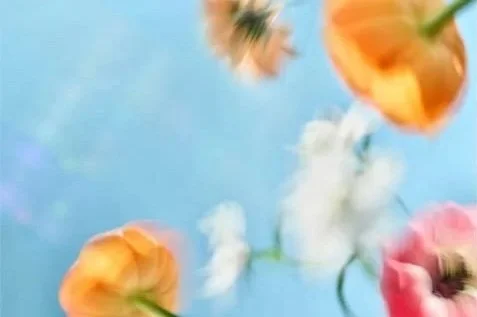 BLOOM - Day Party