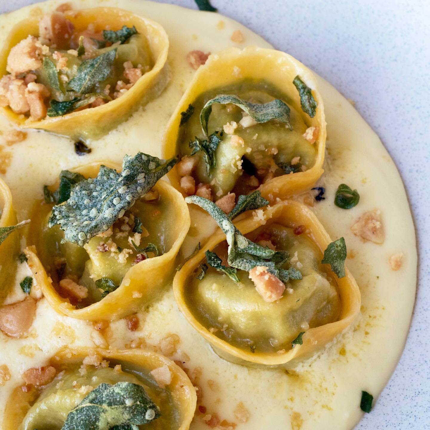 🌿Cappellacci 🌿 

Native spinach &amp; ricotta filled pasta with parmesan foam, macadamias &amp; crispy salt bush.

A fantastic native twist on the classic spinach &amp; ricotta ravioli with burnt butter and sage.

New addition to our ☀️summer menu☀