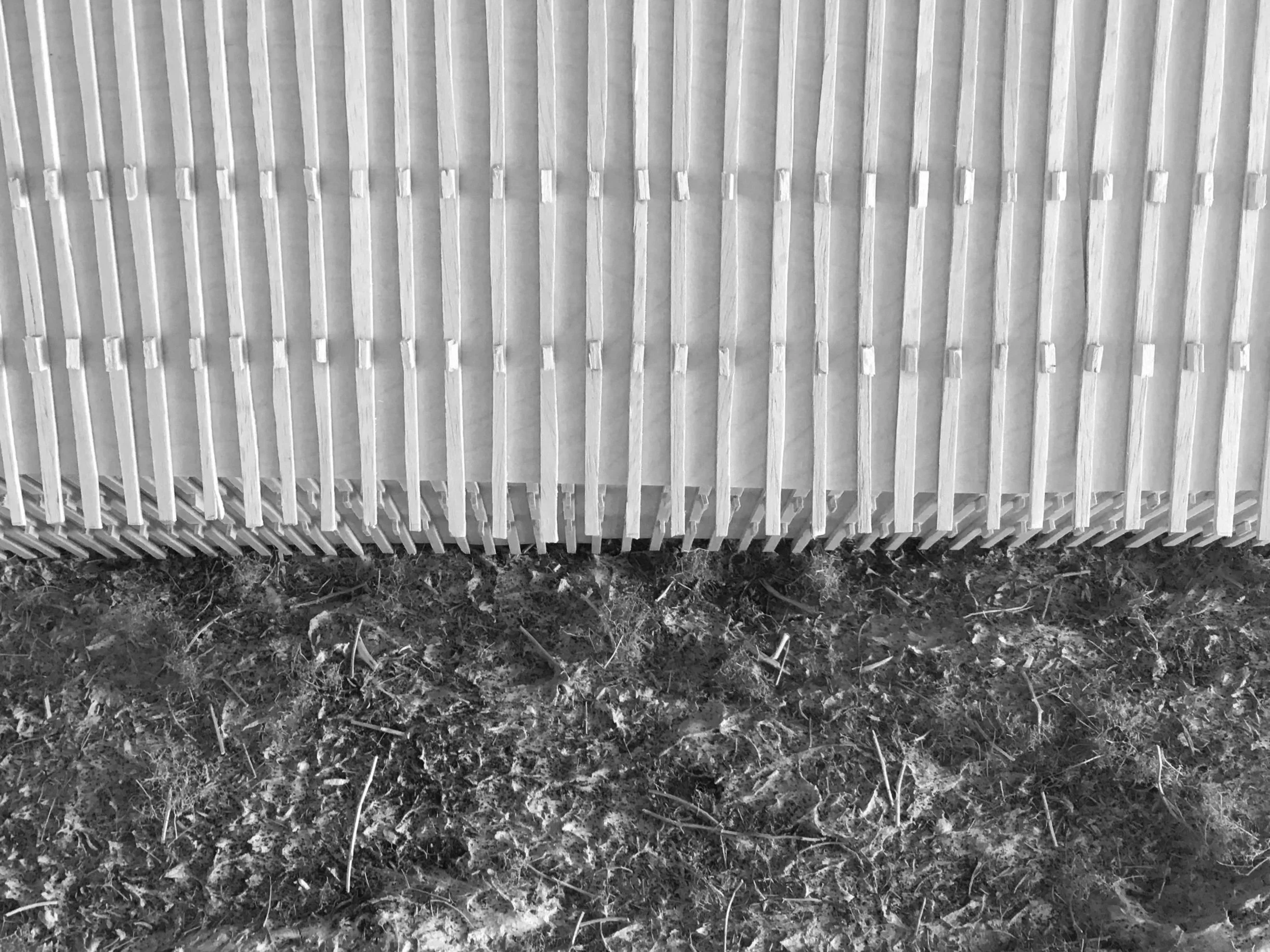 Black and white photo of a wooden structure with vertical slats, next to a patch of dirt or soil.