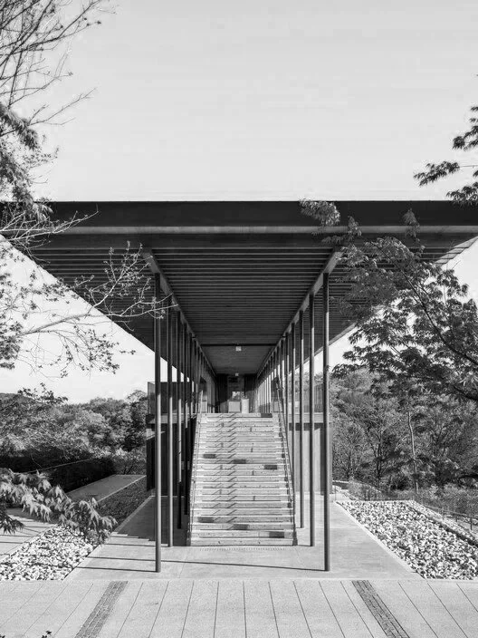 Modern building with a stairway leading up to the entrance, surrounded by trees and plants, black and white photograph.