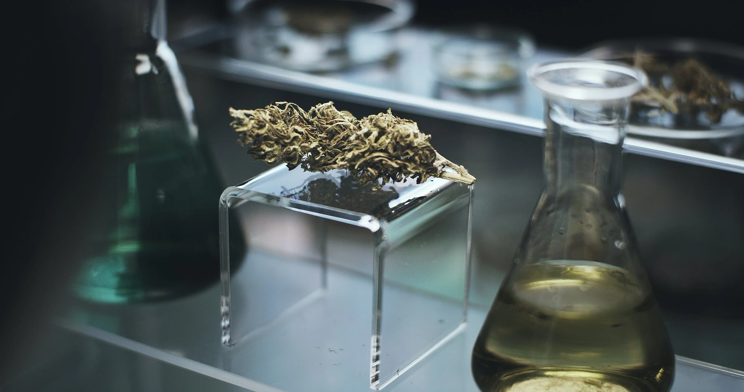Benefits Of Solvent Less Extractions — The Pre Roll Guys The Best Pre Roll Weed Delivery Weed