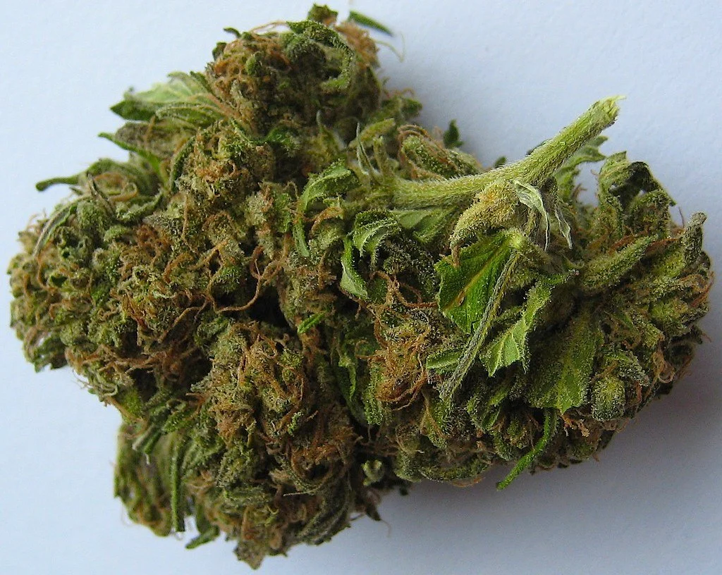 Apple Exotic Strain The pre roll guys Best — The Pre Roll Guys The