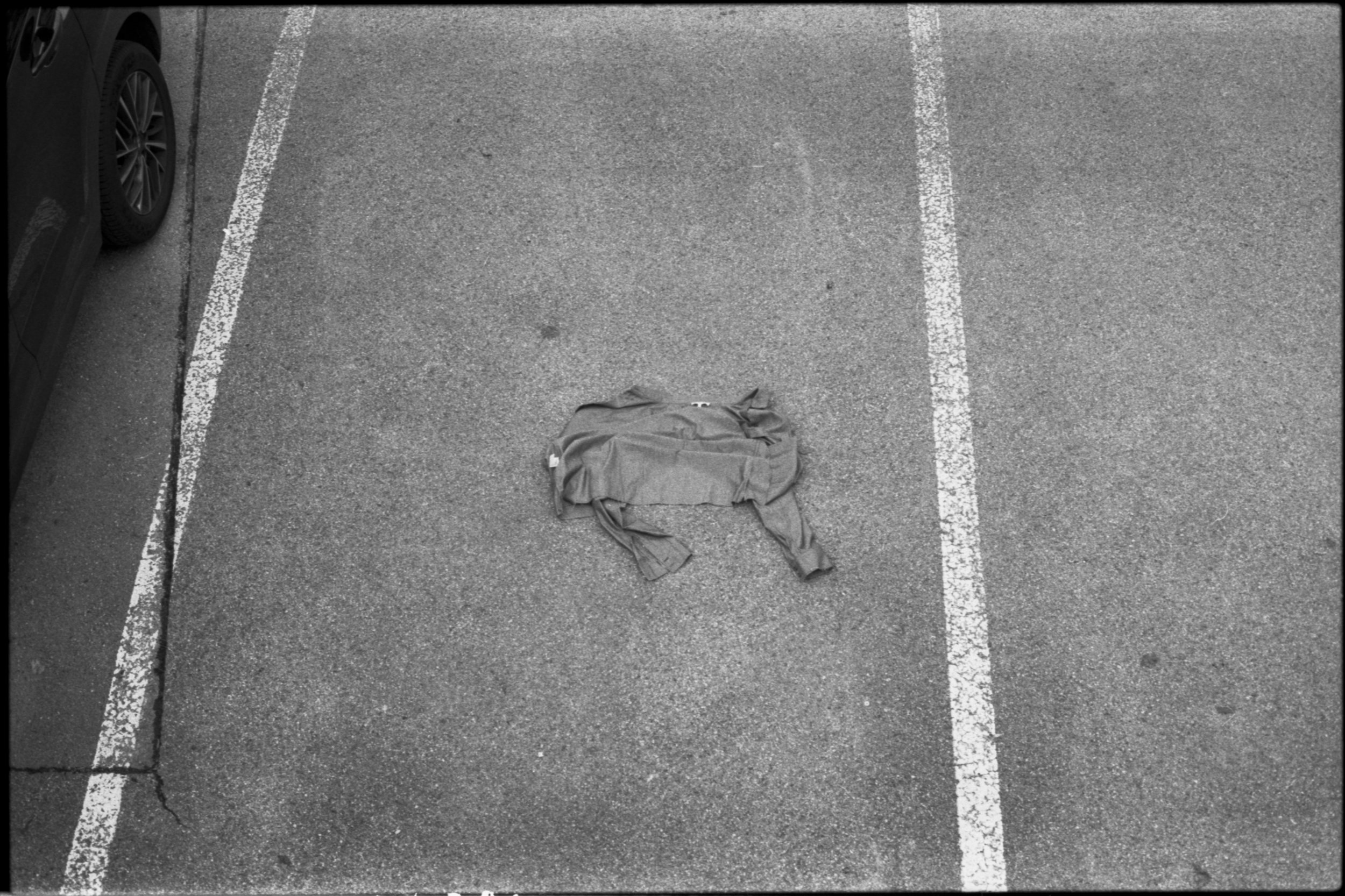 image00004.jpeg