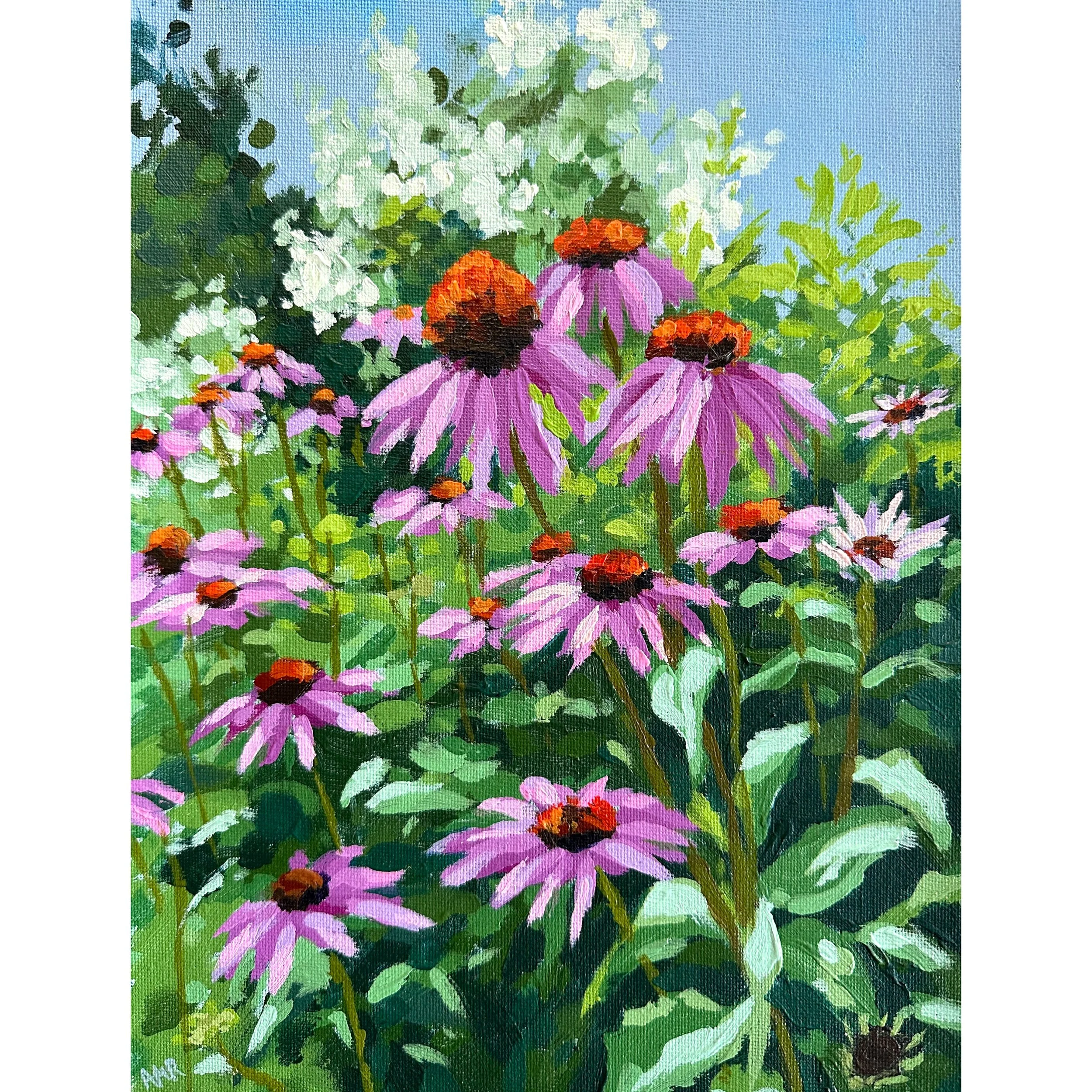 Echinacea (SOLD)