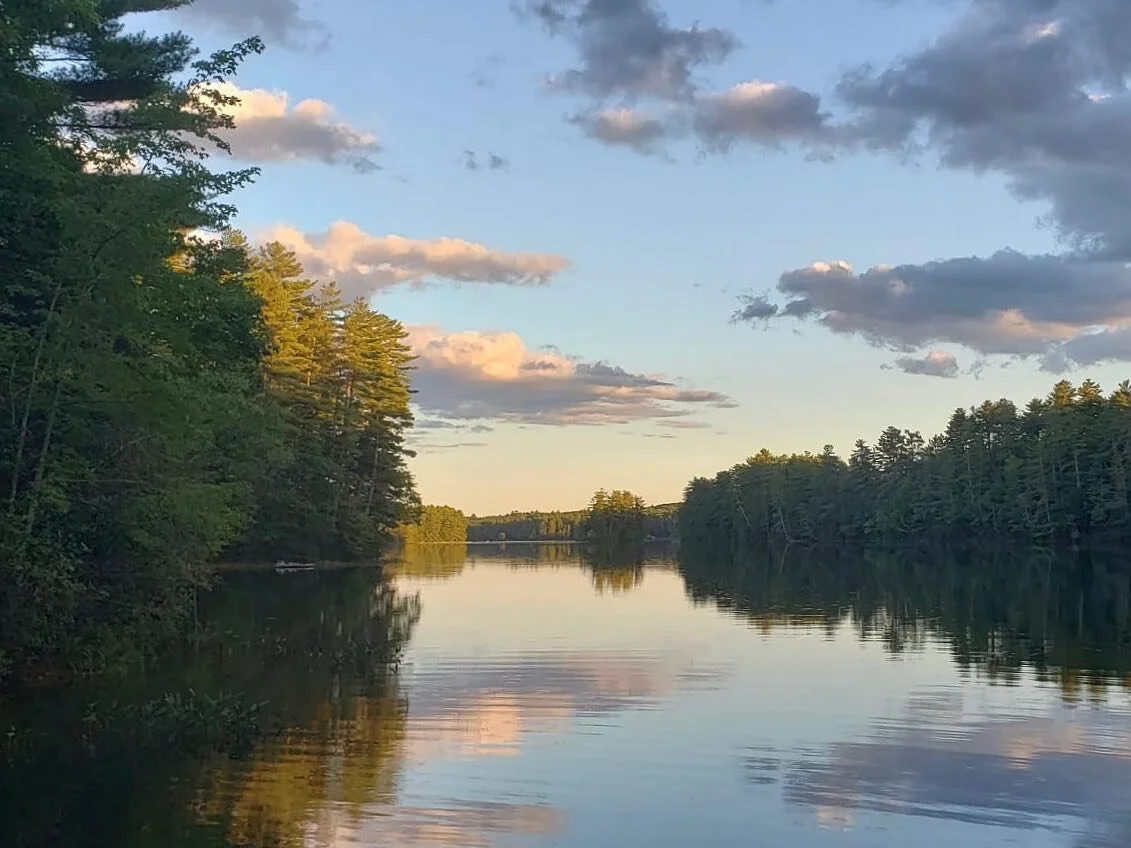 New Year's Community Painting!
Sunday, January 2nd, 4-5:30pm EST (via ZOOM)
Join me for a casual and fun painting event! Follow along as I paint my version of this image, or go your own way. 
Beginners and kids welcome! 
I'm offering this workshop