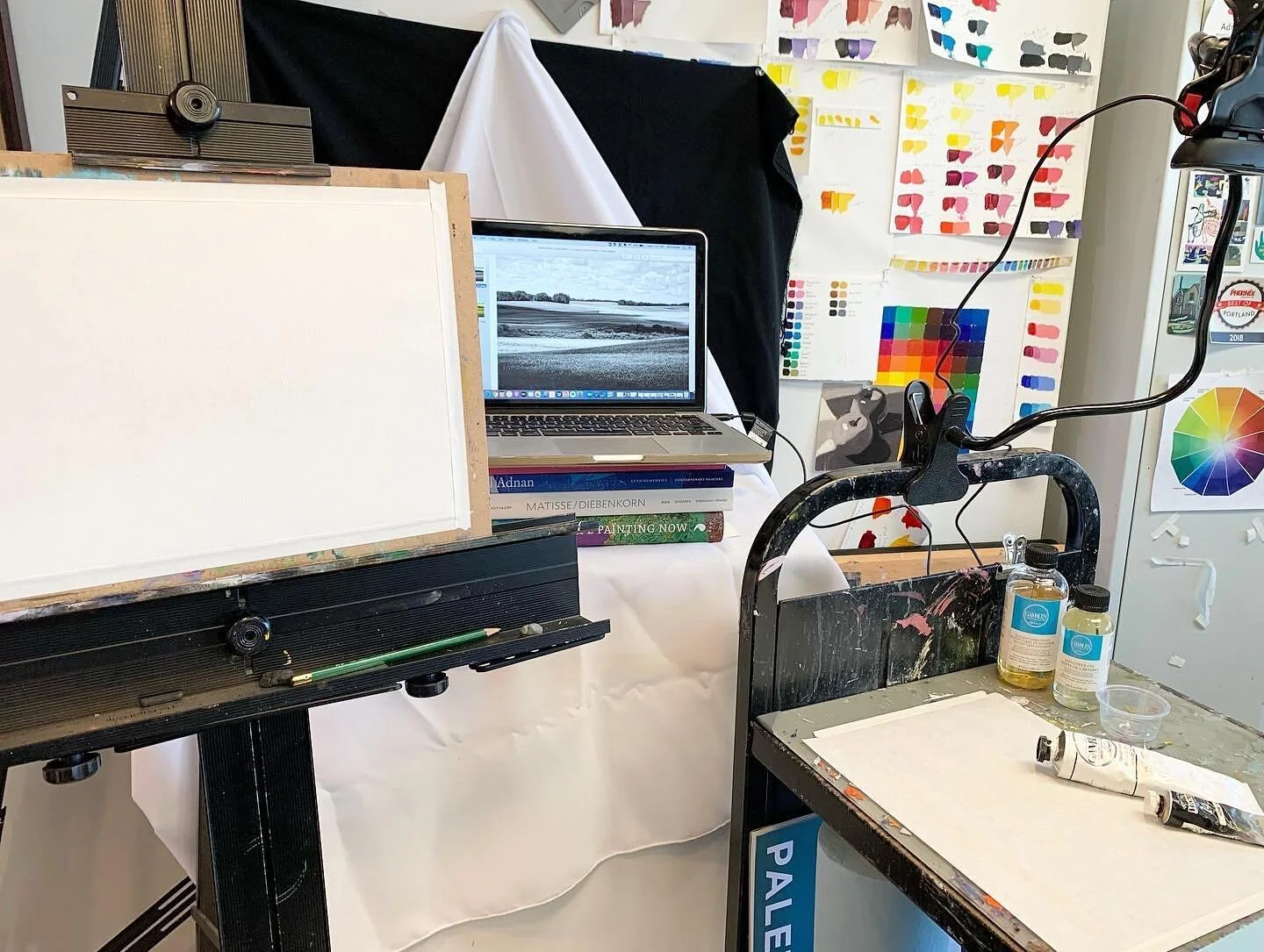 If you signed up for New Year's Community Painting and you have not received the Zoom link, please send me a private message or email me at info@studiostilllife.com. Looking forward to painting with you! 🎨🎉