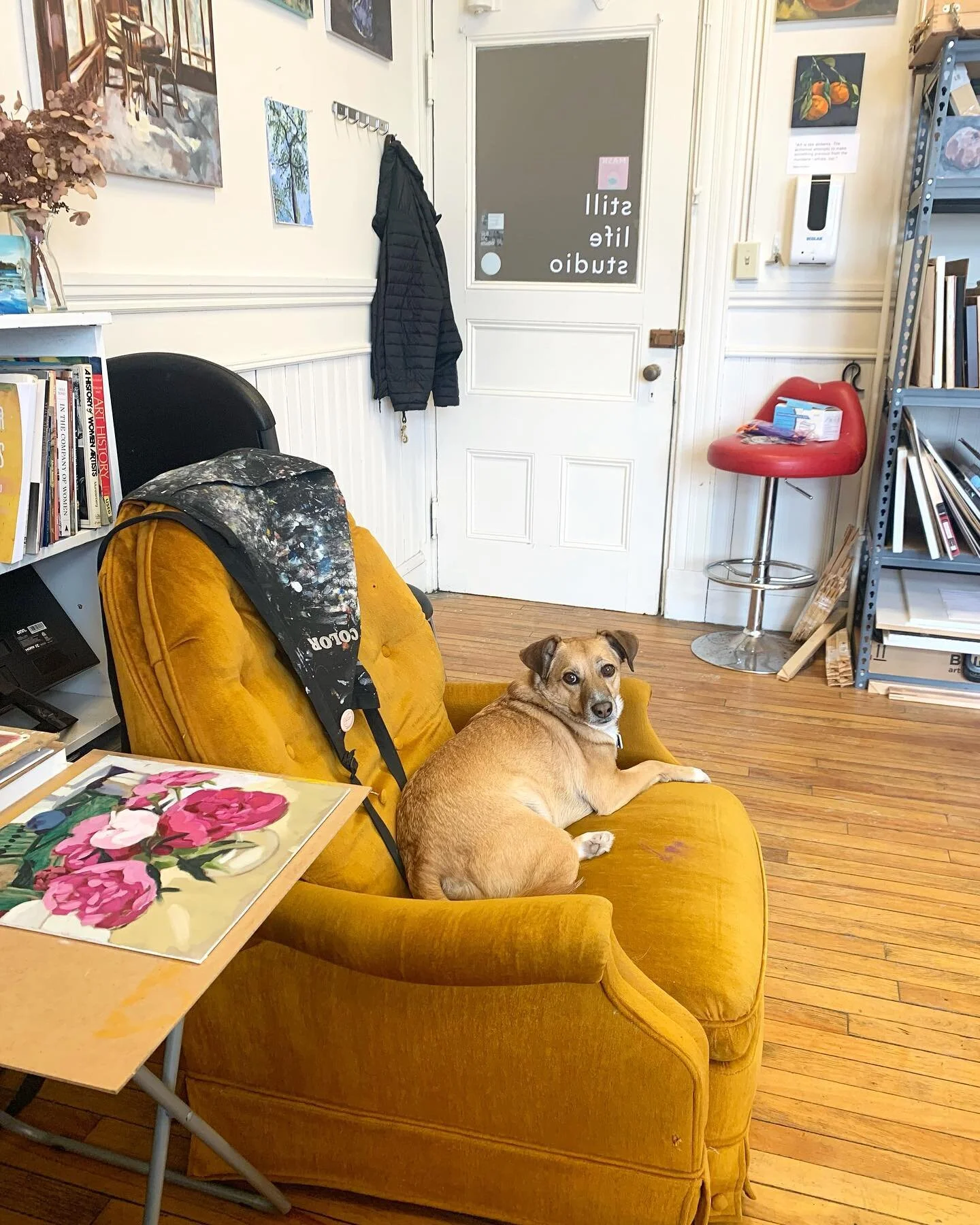 Hello from me and Barry! We hope you're having a colorful day. ❤️
#stilllifestudio #studioview #barry #studiodog #yellow #paintingstudio