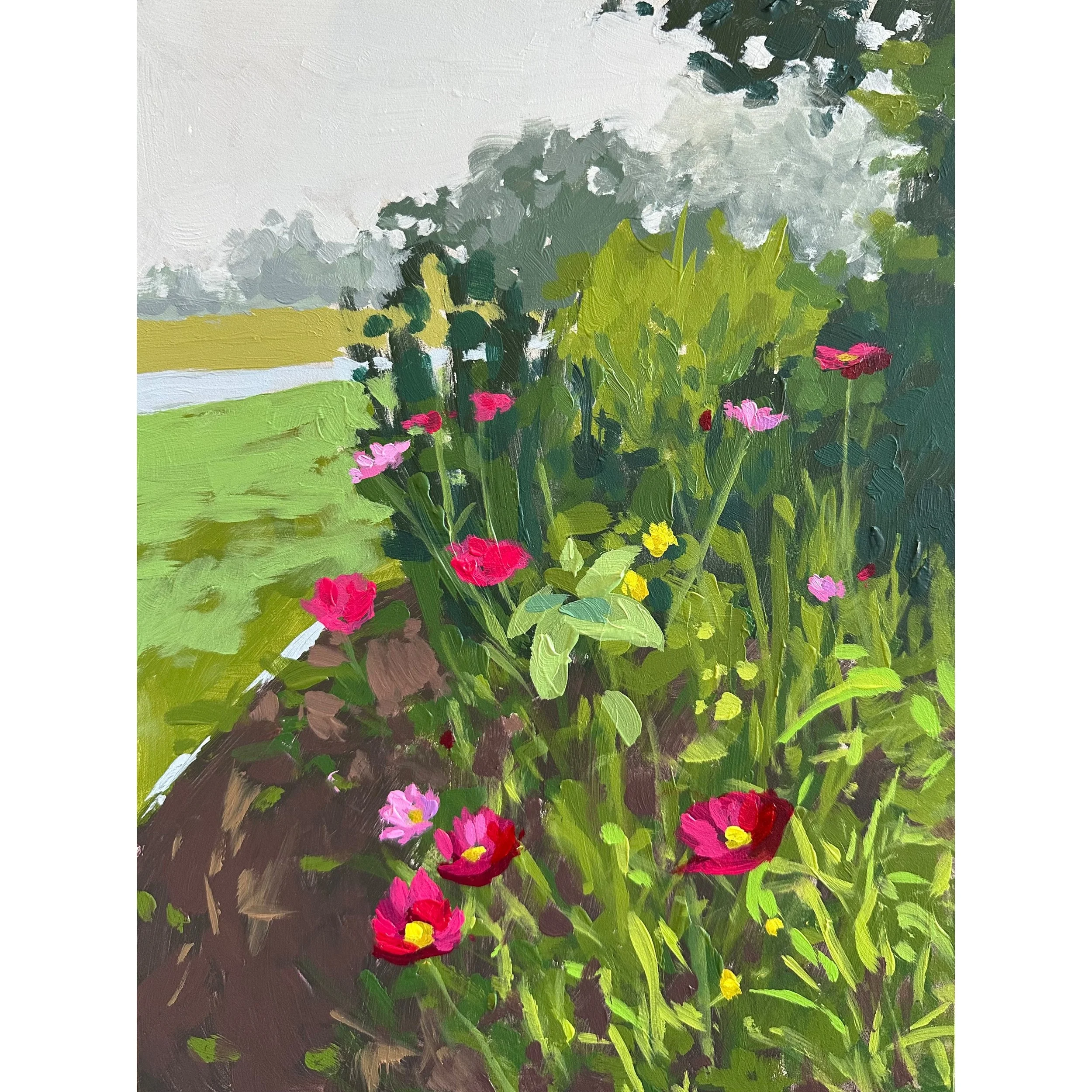 Cosmos